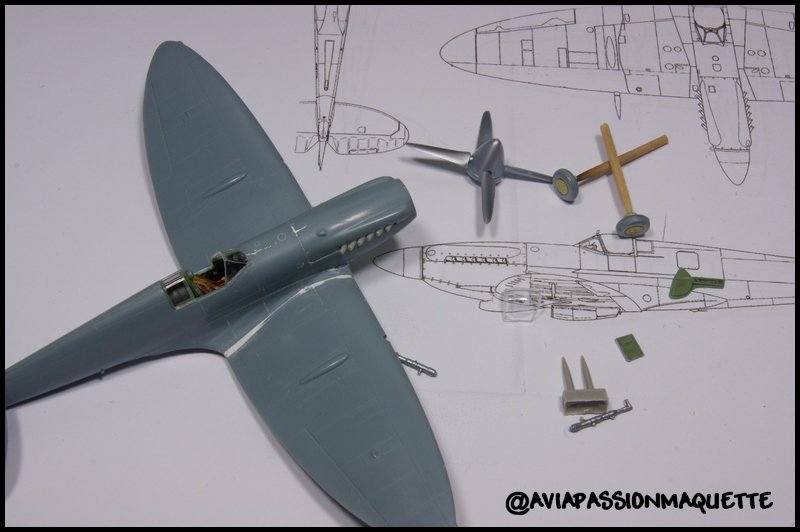 SEAFIRE XV 1/72 SWORD maj du 14/10 fini DSC01893