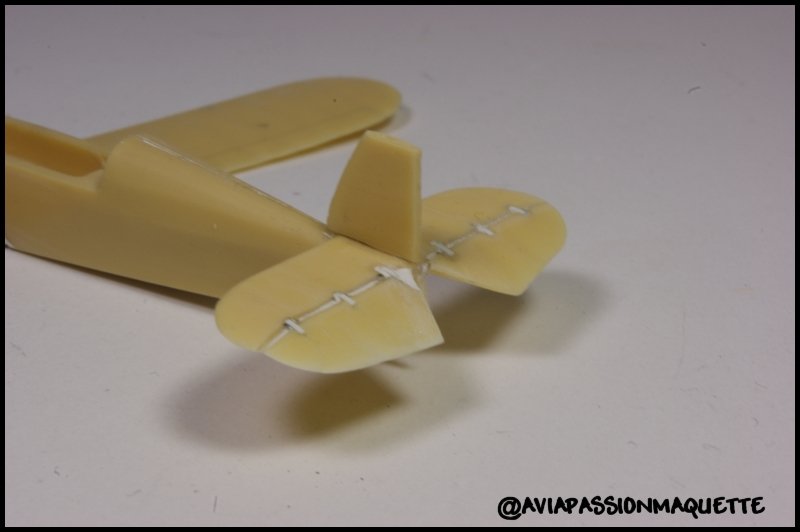 [PJ PRODUCTION] 1/72 - STAMPE SV4C   DSC01225