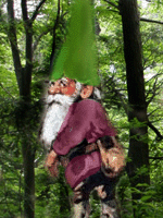 La Galerie d'Avatars de Faerywoods Gnome8