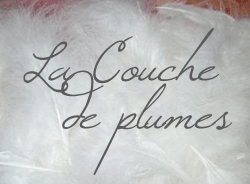 Le campement sous les buissons : la Couche de Plumes Perceneiges_couche