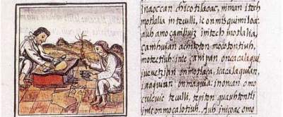 ★World’s Most Mysterious Book Finally Decoded★★★The Voynich Manuscript ★★ Florentine-codex