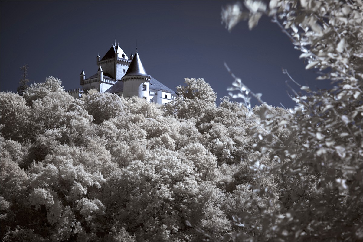 Photos avec filtre Infra rouge  - Page 15 Raw_IR_chateau_cs6