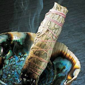 Sacred Space | Smudging: Sage, Sweetgrass & Palo Santo | Gigi Young Sage