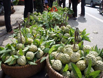 Na Chi Lăng, Hữu Lũng: Vị ngọt đầu mùa 3