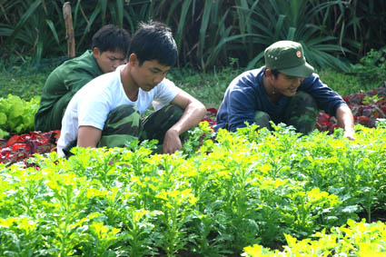 "Phân đội xanh" giữa muôn trùng cát trắng Images357588_chiensilyson