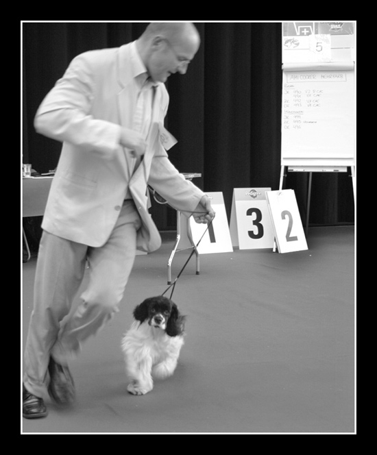 Expo canine Luzern1