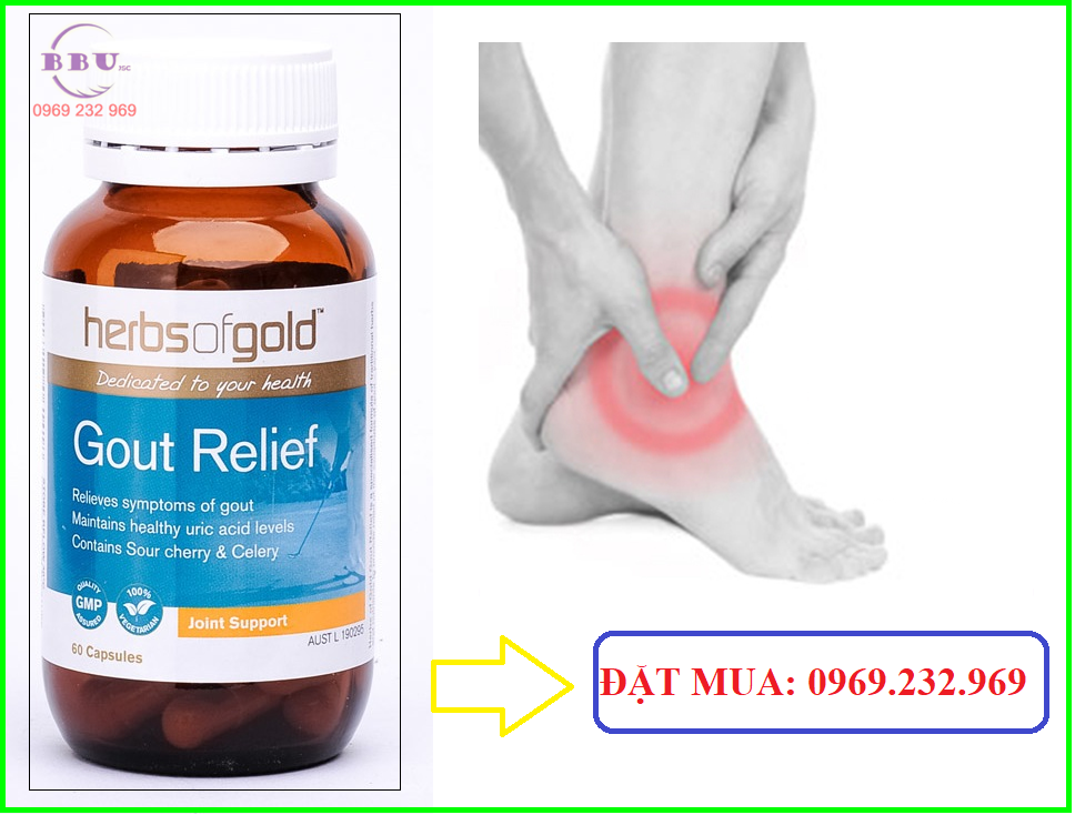 Sức khỏe, đời sống: Thuốc điều trị gout-gout relief Thuoc-dieu-tri-gout-gout-relief-2(1)