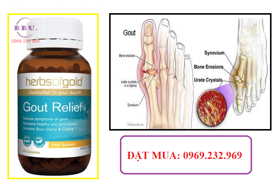 Sức khỏe, đời sống: Thuốc điều trị gout-gout relief Thuoc-dieu-tri-gout-gout-relief-4