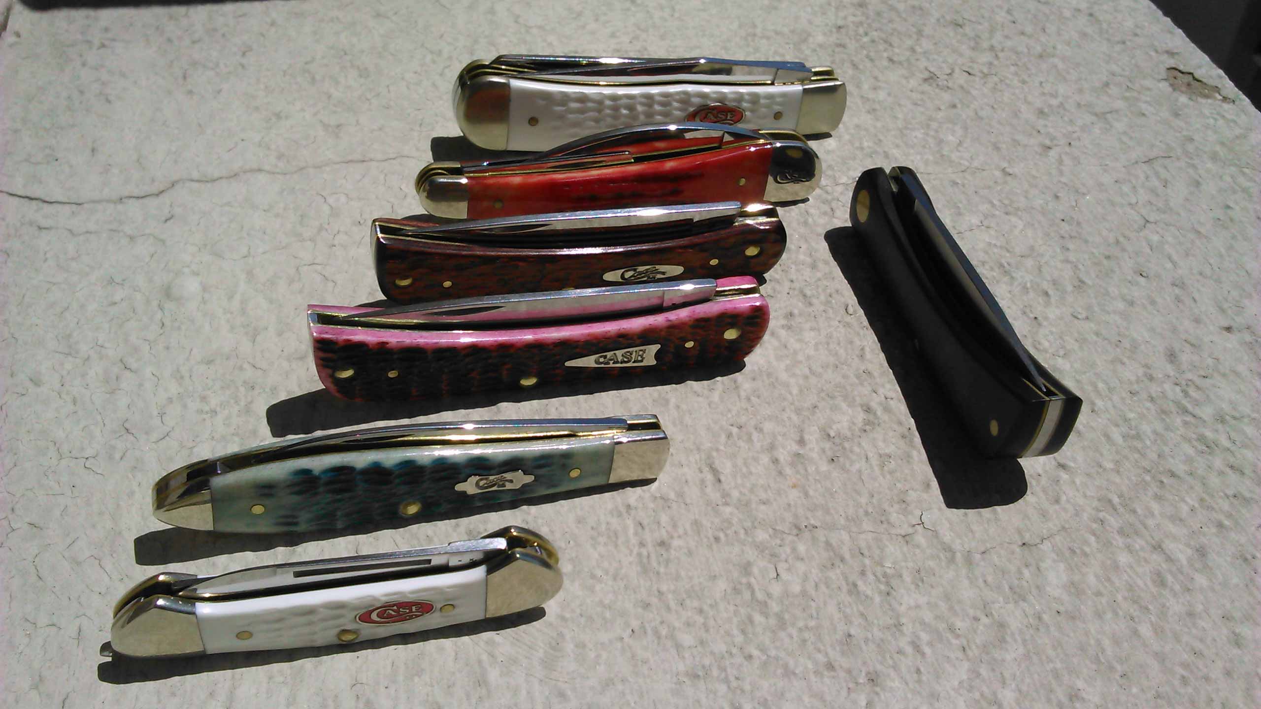 CASE cutlery Cases