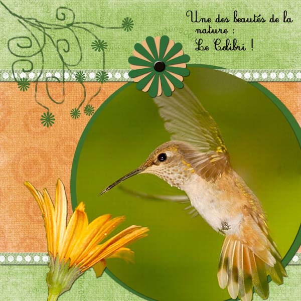 Challenge 29 * 1er avril * - Page 2 Challenge%20colibri