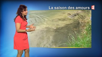 Anaïs Baydemir : Météo (FR2 - Juin 2016) Anais_baydemir-meteo-20160330-2-by_pouce_tn