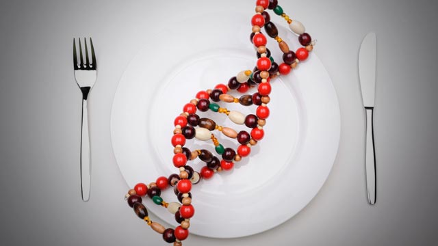 Confirmed: DNA From Genetically Modified Crops Can Be Transferred Into Humans Who Eat Them DNA1