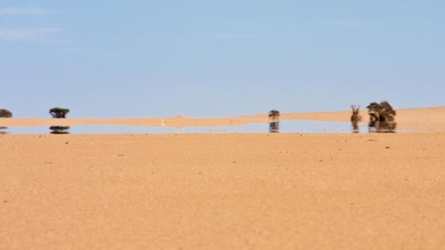 Mystery of Australia’s Eerie Min Min Lights Standard-mirage