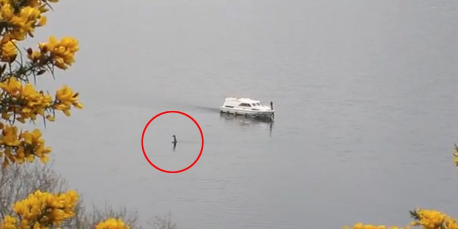 New Footage of the Mysterious ‘Loch Ness Monster’ Reignites Interest in ‘Nessie’ Legend 5912f655c3618886258b458d-900x450