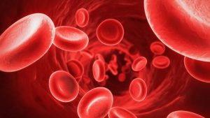 Góc nhìn nha khoa: Hiện tượng chảy máu chân răng tồn tại những bệnh lý nguy Blood-disorder-300x169