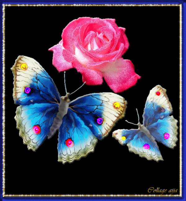 Işıltılı hareketli ve romantik kelebekler 437791946