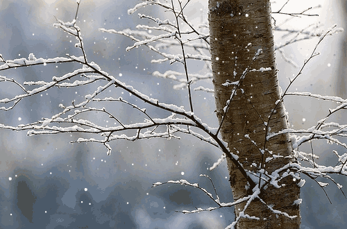 Après l'Autumn, l'hiver } ft. Autumn Abberline Winter-snow-nature-animated-gif-34
