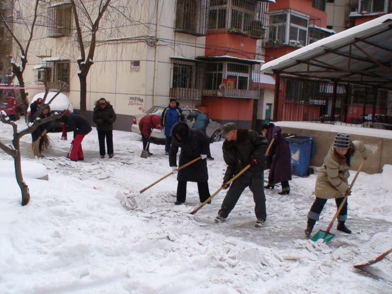 齐心协力共扫雪，居民出入享方便 Dsc01310_800x600