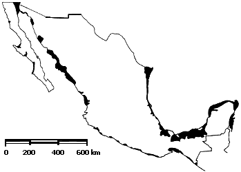 LUGARES SEGUROS EN MÉXICO - Página 7 101_126