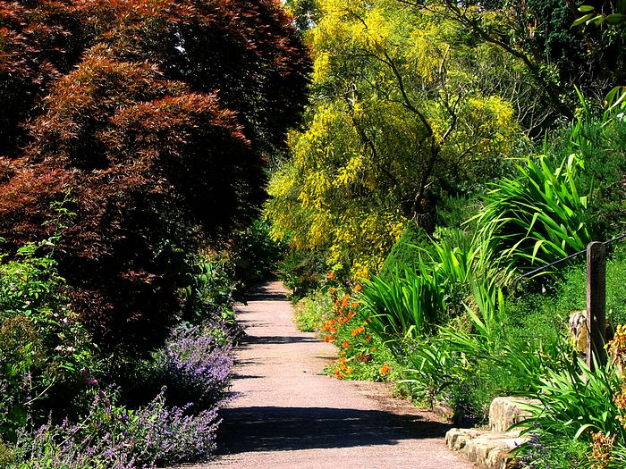 صور لأجمل الحدائق في انكلترا... Down%20a%20Garden%20Path%20at%20Borde%20Hill_%20%20West%20Sussex_O