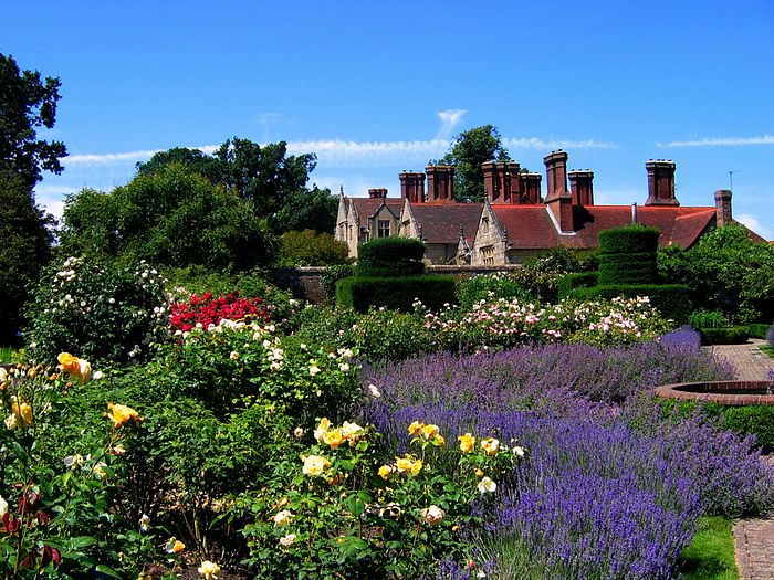 صور لأجمل الحدائق في انكلترا... Roses%20and%20Lavender%20at%20Borde%20Hill%20Gardens_%20West%20Sussex_O