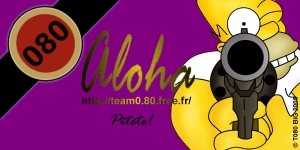 Attention attention!! Panneaux Team ((080)) Aloha%20homer