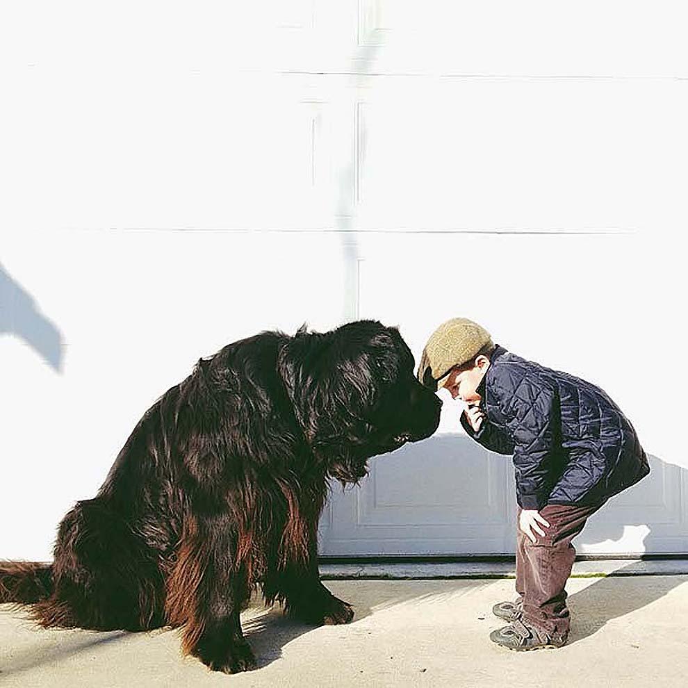 ****ESTO ES AMOR,LO DEMÁS SON TONTERÍAS!!**** - Página 4 Kidsanimals04