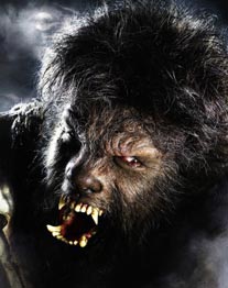 Legende Werwölfe -wolfman-die-werwolf-legende-feiert-ihr-comeback-auf-der-grossen-leinwand-foto-universal-