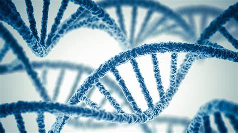CRISPR Cas9 :Le premier embryon humain génétiquement modifié est chinois Th-2