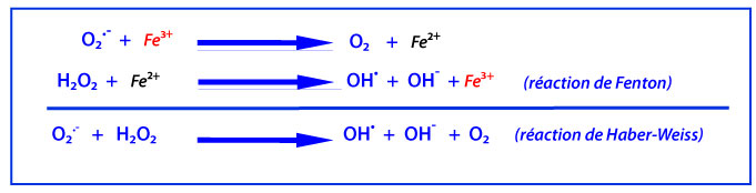 Twinstar : la solution antialgue miracle? Reaction-d_Haber-Weiss