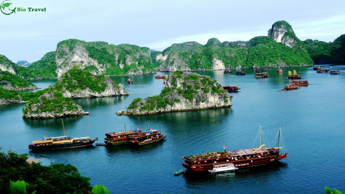Du lịch Việt Nam theo mùa "Lý tưởng" - Đi đâu cũng đẹp tuyệt vời Aic1403594498