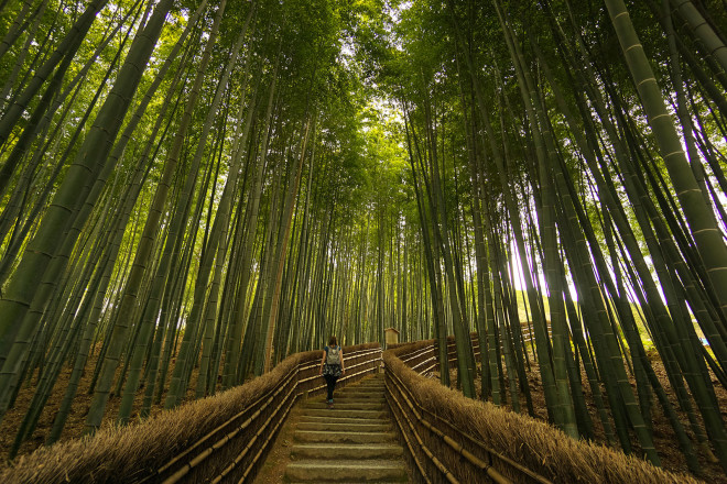 japon - LE JAPON ! un jour j'irai !!! - Page 26 Arashiyama-21-660x440