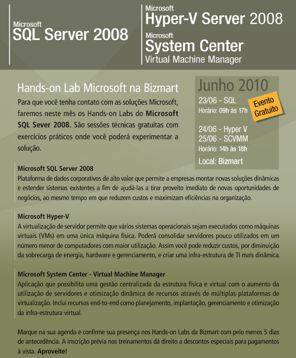 Bizmart Hand-on Labs 2010 Holsql2