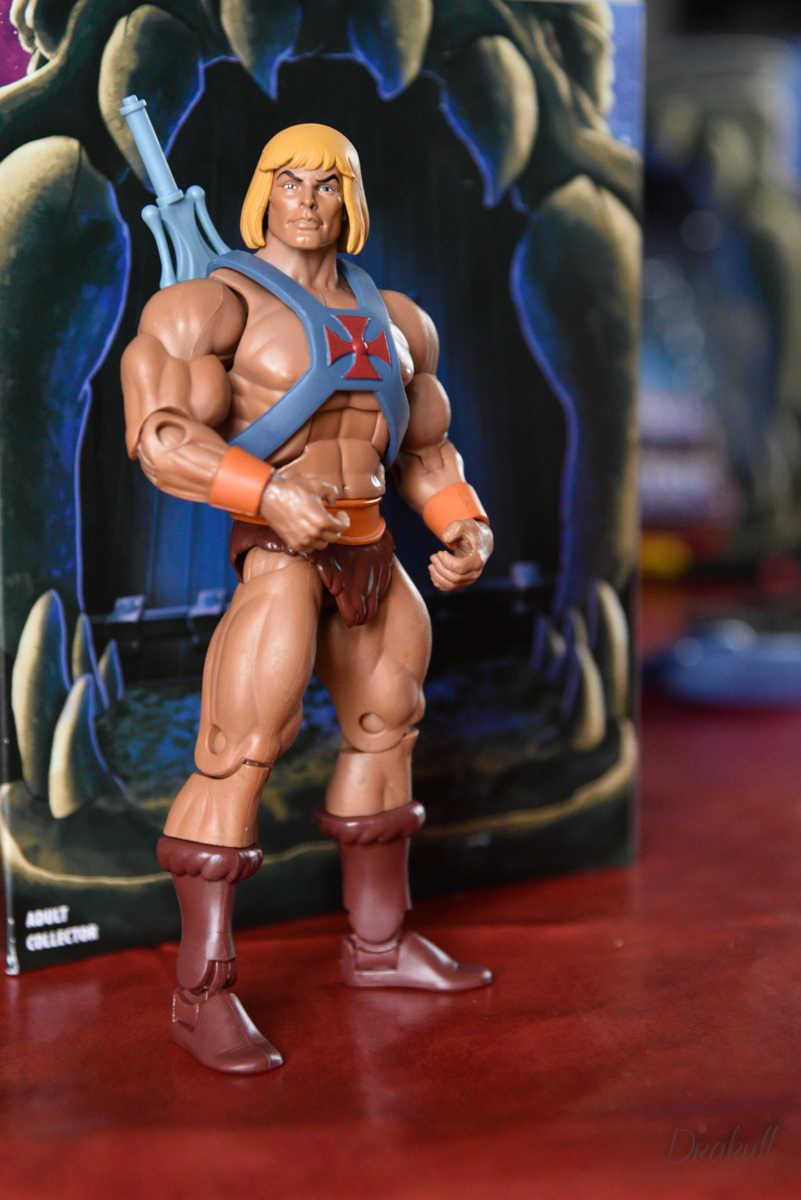 Masters Of The Universe : Toutes les gammes, les news, les marques & sorties ... - Page 7 _DSC3237