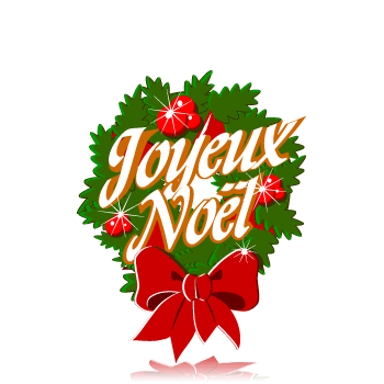 IRL de Noel le 23.12.07 : Un Noel pour Kisa - Page 4 Joyeux_noel
