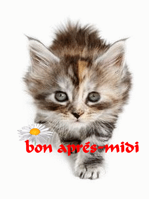 Discussion Sur L Etoile De Tf1 Du 25 Fevrier 17 Page 7