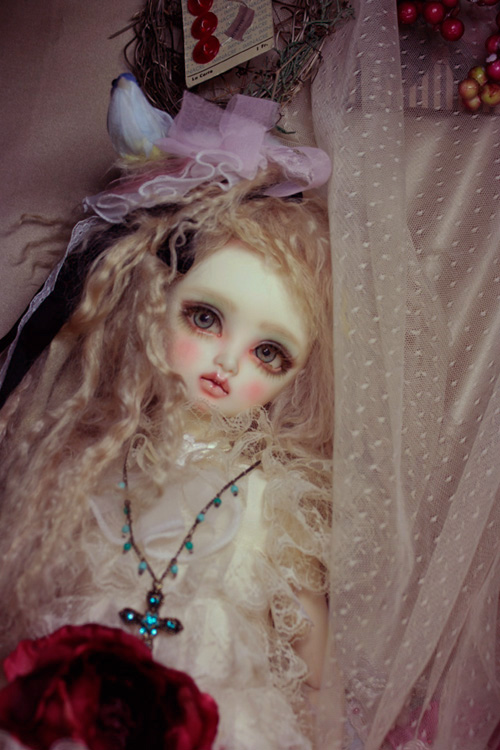 All you wanted to know about BJD's _MG_7599