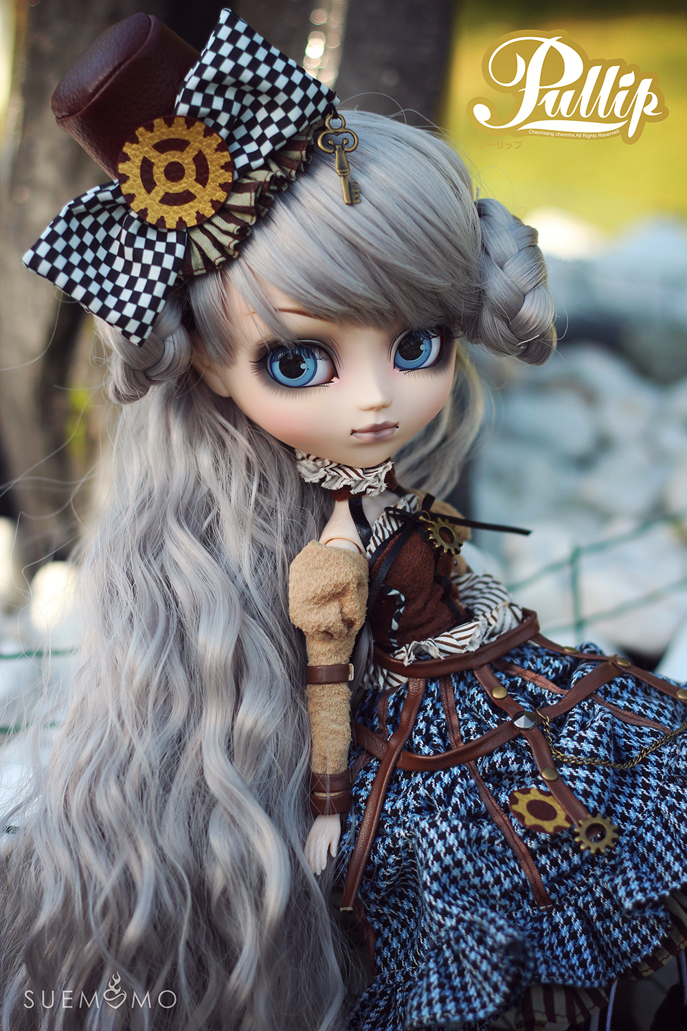 L'univers Pullip /Dal /Taeyang - Page 18 IMG_4224s