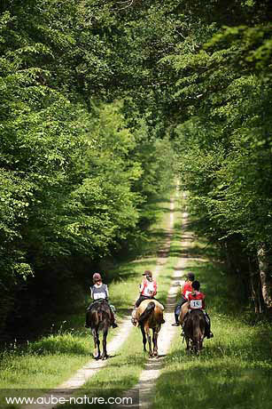 Forêt Trec-monte