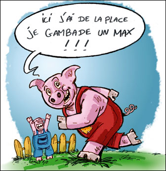 le petit prince a dit "dessine moi un mouton" Cochon8definitif