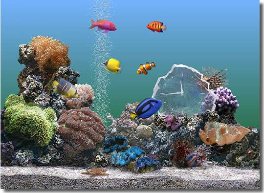 Marine Aquarium Time 2.0 345745