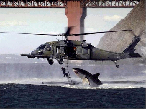 Photos insolites, droles ... Shark%20Helicopter-thumb-495x371-14164