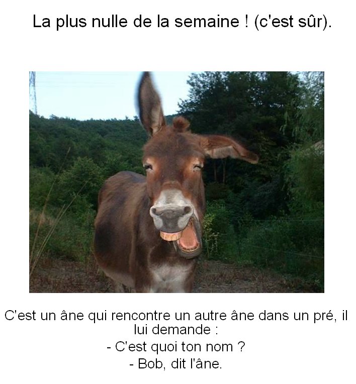 Comment mettre un document ou une image sur le forum ? Bobo