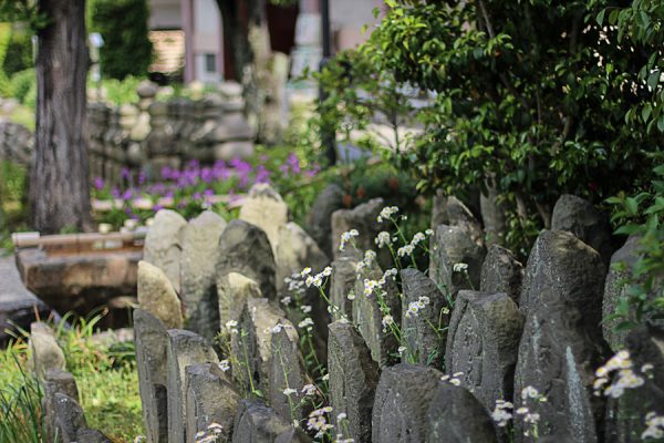 3 semaines au Japon Nara19-600x400