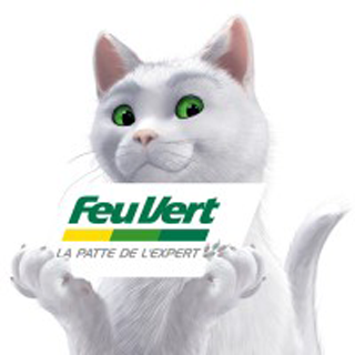 sinn - Le Club des SINN-eurs - tome 6 - Page 12 Feu-vert-chat-blanc-thumb