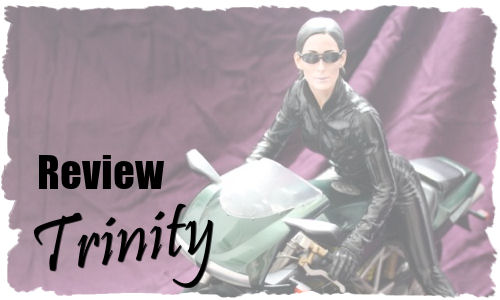 Review : Trinity on Bike L_trinity