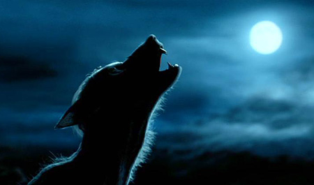 Listado de Razas Bloghogwarts-werewolf