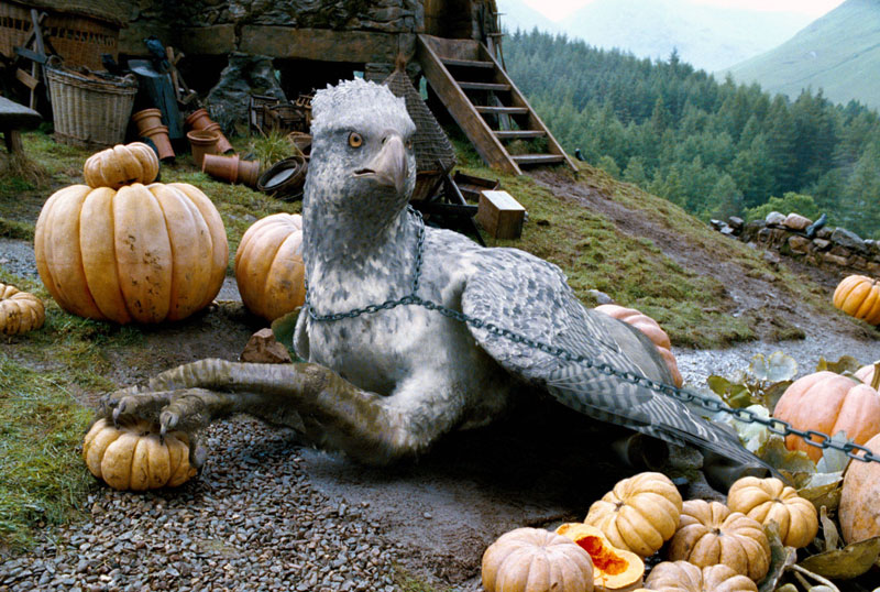 jardin secreto Buckbeak_chains_big