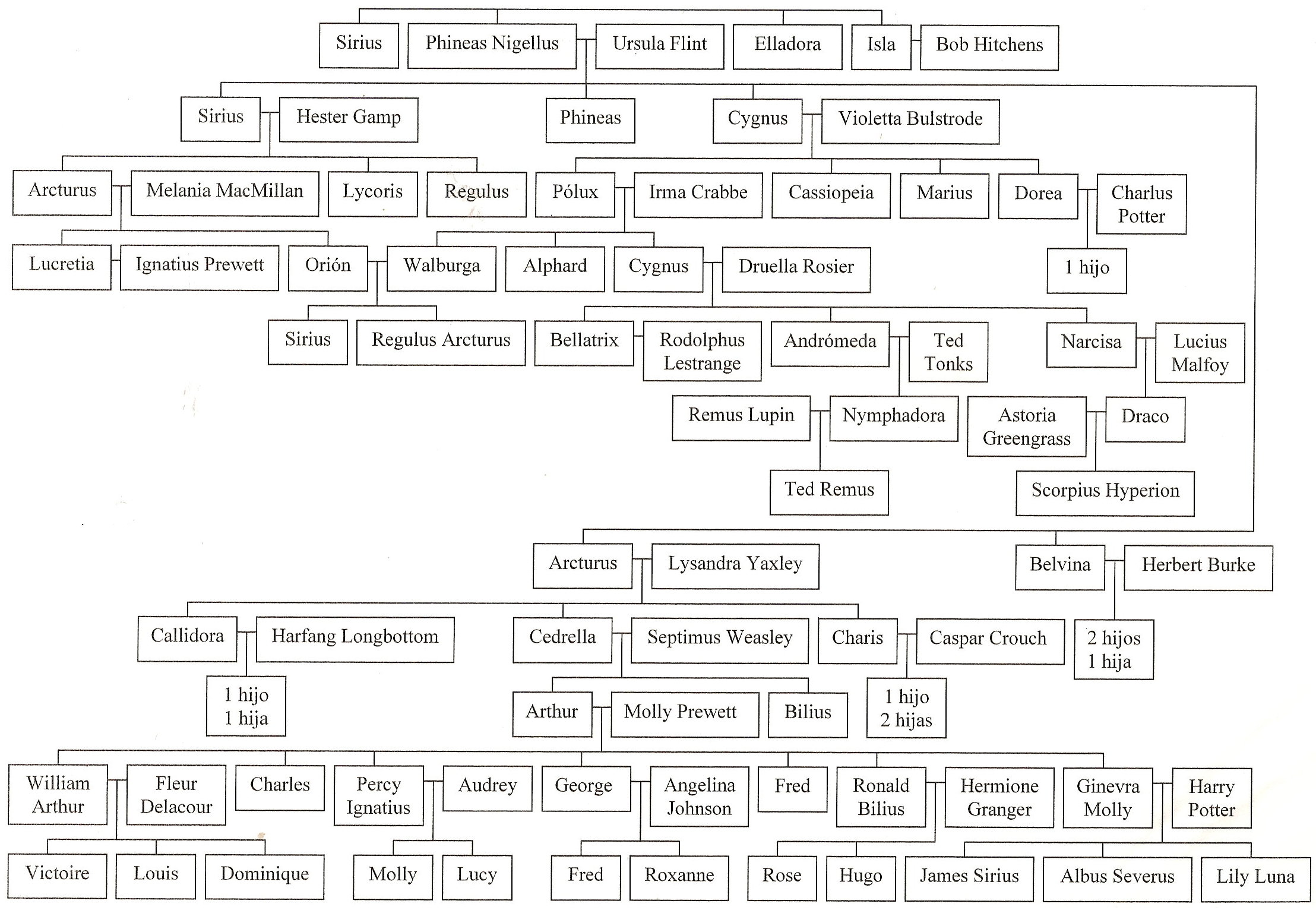 GENEALOGIA DE LOS PERSONAJES DE HARRY POTTER Arbol-genealogico-de-los-black-weasley