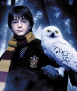 Top 5: Lechuzas en el Mundo de ‘Harry Potter Harry-Potter-Hedwig